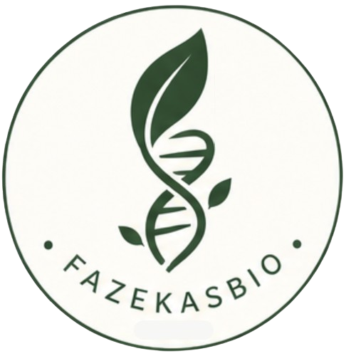 Főoldal